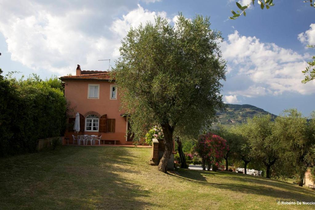 Tenuta Gaetano Spadaro Капаннори Номер фото